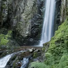 La cascata del lupo scende maestosa tra rocce ricoperte di vegetazione lussureggiante. L'acqua crea un velo bianco che si infrange nel ruscello sottostante.