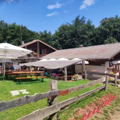 Rifugio immerso nel verde, con tavoli all'aperto e un'area relax. La verla di Giovo, un luogo ideale per una pausa nella natura.