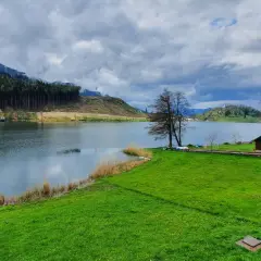 Un tranquillo lago di Pinè con verdi prati, alberi spogli e nuvole minacciose nel cielo.