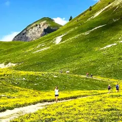 Sentiero fiorito ai piedi del monte Peller, con escursionisti che godono del paesaggio alpino.