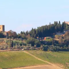 Colline toscane con vigneti e uliveti, e in lontananza castelli e torri, un'idea di cosa vedere a Poggibonsi.