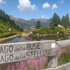 Segnavia in legno indica "Lago delle Buse" e "Lago delle Stellune", con montagne sullo sfondo e fiori viola in primo piano.
