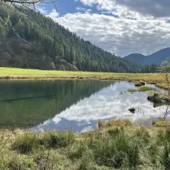 Tranquillo lago Covel riflette il cielo nuvoloso e la foresta che ricopre la montagna.