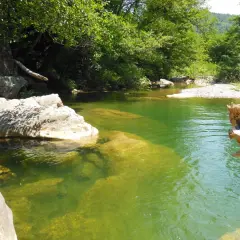 Acque verdi e limpide del Val di Farma, rocce affioranti e vegetazione lussureggiante creano un paesaggio sereno.