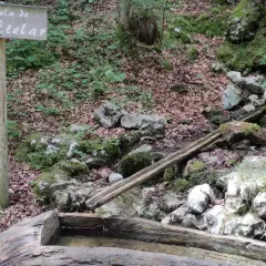 Segnale del sentiero delle sorgenti con una fontana in legno in un bosco muschioso.
