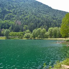 Persone nuotano nel **lago di Lases**, circondato da una rigogliosa foresta e montagne verdi.