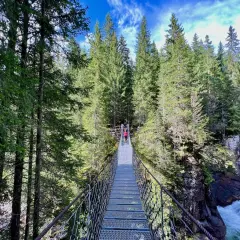 Un sentiero marciò attraversa un ponte sospeso su un fiume impetuoso, circondato da una fitta foresta di conifere.