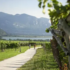 Ciclisti su una strada tra vigneti con vista sul lago e montagne. Un'ottima idea per scoprire cosa vedere a Ronzone.