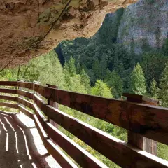 Sentiero panoramico San Romedio scavato nella roccia, con parapetto in legno e vista su una foresta di abeti.