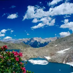 Un incantevole giro dei 5 laghi alpini, con fiori rosa in primo piano e montagne maestose sullo sfondo.