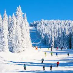 Pista innevata in una delle località sciistiche famose, con sciatori che scendono tra alberi coperti di neve e un cielo azzurro brillante.
