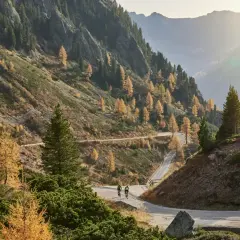 Ciclisti affrontano tornanti su strada panoramica al Passo Manghen, circondati da larici dorati e montagne nebbiose.