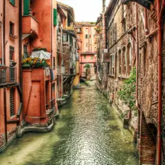 Un canale con edifici color ocra e mattoni, un assaggio di cosa vedere a Bologna, con fiori su un balcone.
