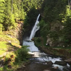 A tall waterfall cascades down a rocky cliff face surrounded by lush green trees.