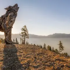 Scultura di una lupa del Lagorai in legno, che ulula al tramonto su un crinale roccioso, con montagne nebbiose all'orizzonte.