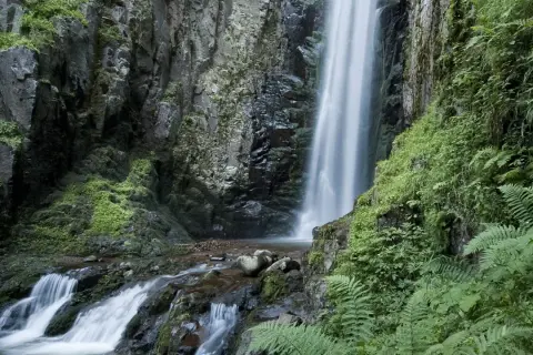 La cascata del lupo scende maestosa tra rocce ricoperte di vegetazione lussureggiante. L'acqua crea un velo bianco che si infrange nel ruscello sottostante.