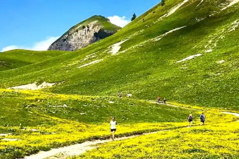 Sentiero fiorito ai piedi del monte Peller, con escursionisti che godono del paesaggio alpino.