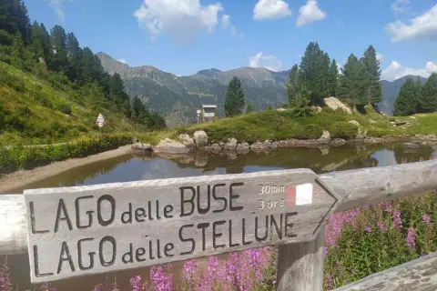 Segnavia in legno indica "Lago delle Buse" e "Lago delle Stellune", con montagne sullo sfondo e fiori viola in primo piano.
