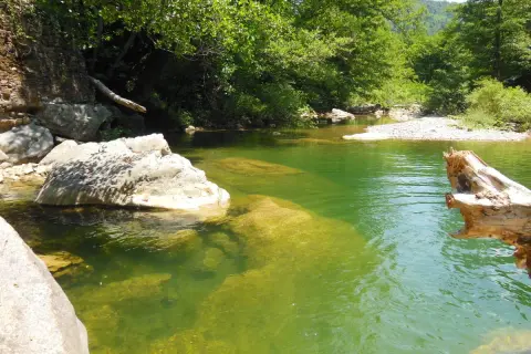 Acque verdi e limpide del Val di Farma, rocce affioranti e vegetazione lussureggiante creano un paesaggio sereno.