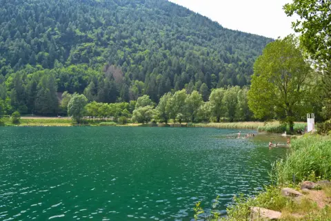 Persone nuotano nel **lago di Lases**, circondato da una rigogliosa foresta e montagne verdi.