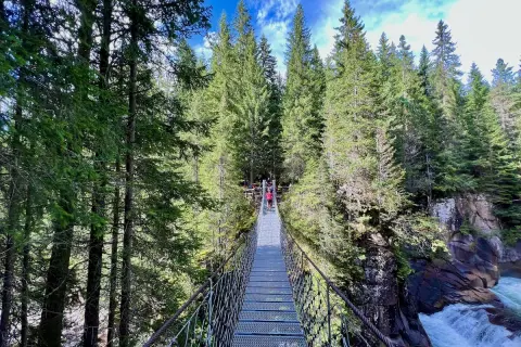 Un sentiero marciò attraversa un ponte sospeso su un fiume impetuoso, circondato da una fitta foresta di conifere.