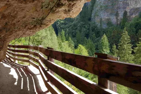 Sentiero panoramico San Romedio scavato nella roccia, con parapetto in legno e vista su una foresta di abeti.