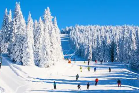 Pista innevata in una delle località sciistiche famose, con sciatori che scendono tra alberi coperti di neve e un cielo azzurro brillante.