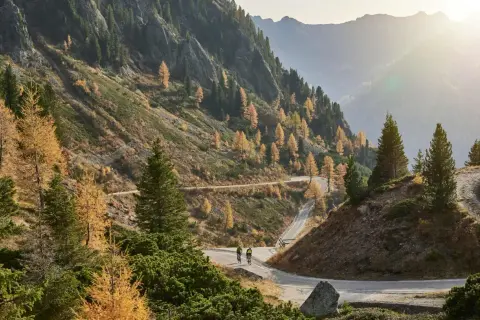 Ciclisti affrontano tornanti su strada panoramica al Passo Manghen, circondati da larici dorati e montagne nebbiose.