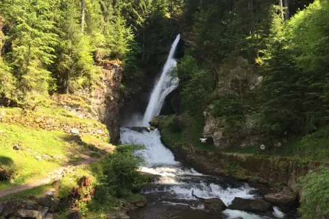 A tall waterfall cascades down a rocky cliff face surrounded by lush green trees.