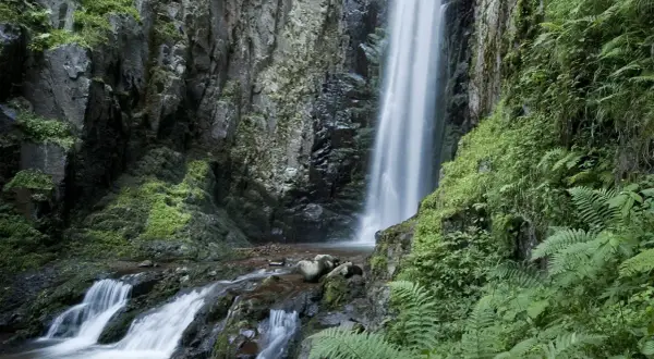 La cascata del lupo scende maestosa tra rocce ricoperte di vegetazione lussureggiante. L'acqua crea un velo bianco che si infrange nel ruscello sottostante.
