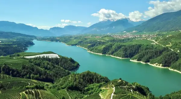 Vista aerea del lago artificiale della diga di Santa Giustina, circondato da rigogliose colline coltivate a vigneti e frutteti, con montagne innevate all'orizzonte.