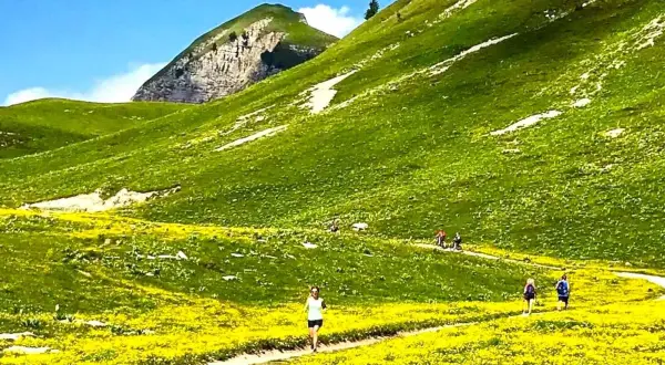 Sentiero fiorito ai piedi del monte Peller, con escursionisti che godono del paesaggio alpino.