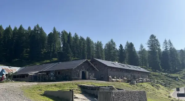 Malga Vallazza, un rifugio alpino in pietra con tetti scuri, circondato da un bosco di abeti sotto un cielo azzurro.