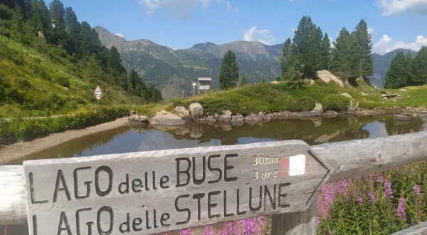 Segnavia in legno indica "Lago delle Buse" e "Lago delle Stellune", con montagne sullo sfondo e fiori viola in primo piano.