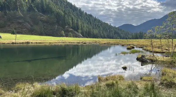 Tranquillo lago Covel riflette il cielo nuvoloso e la foresta che ricopre la montagna.