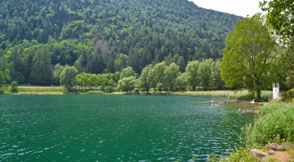 Persone nuotano nel **lago di Lases**, circondato da una rigogliosa foresta e montagne verdi.