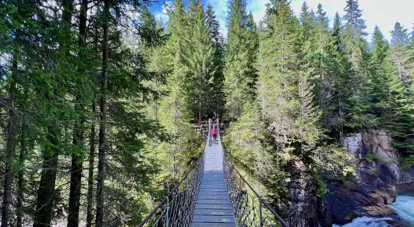 Un sentiero marciò attraversa un ponte sospeso su un fiume impetuoso, circondato da una fitta foresta di conifere.