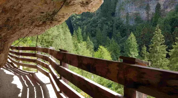 Sentiero panoramico San Romedio scavato nella roccia, con parapetto in legno e vista su una foresta di abeti.
