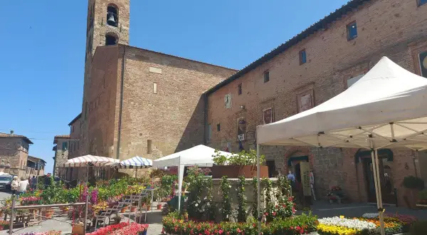 Mercato fiorito a Casole d'Elsa, con bancarelle colorate e un'antica torre campanaria sullo sfondo.