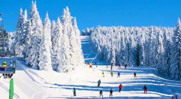 Pista innevata in una delle località sciistiche famose, con sciatori che scendono tra alberi coperti di neve e un cielo azzurro brillante.