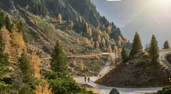 Ciclisti affrontano tornanti su strada panoramica al Passo Manghen, circondati da larici dorati e montagne nebbiose.