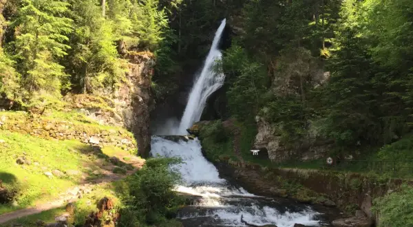 A tall waterfall cascades down a rocky cliff face surrounded by lush green trees.