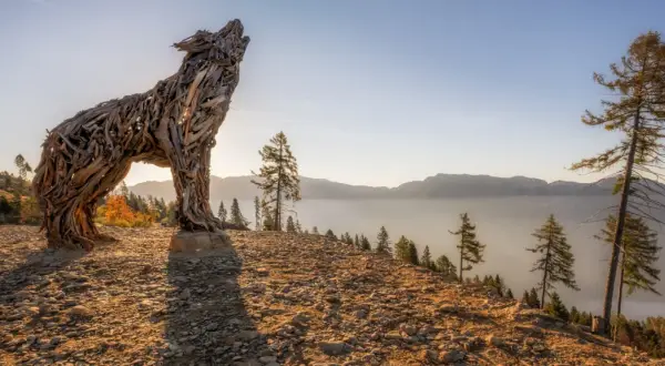 Scultura di una lupa del Lagorai in legno, che ulula al tramonto su un crinale roccioso, con montagne nebbiose all'orizzonte.