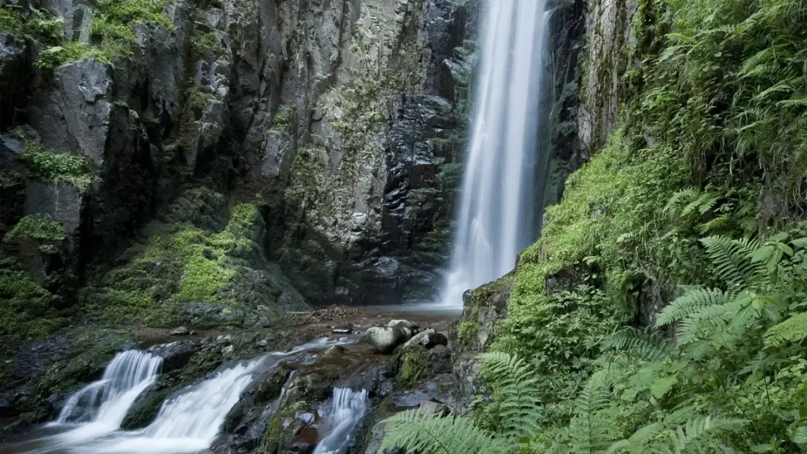 La cascata del lupo scende maestosa tra rocce ricoperte di vegetazione lussureggiante. L'acqua crea un velo bianco che si infrange nel ruscello sottostante.