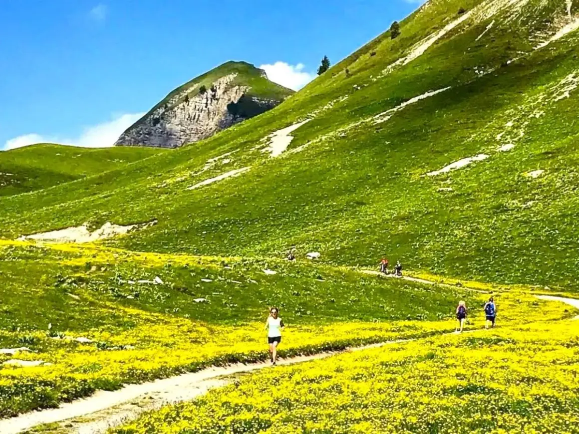 Sentiero fiorito ai piedi del monte Peller, con escursionisti che godono del paesaggio alpino.