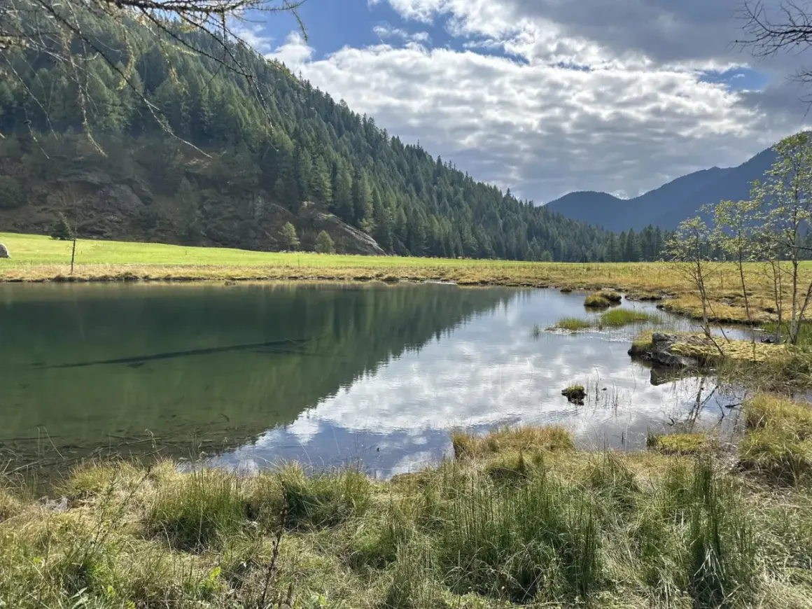 Tranquillo lago Covel riflette il cielo nuvoloso e la foresta che ricopre la montagna.