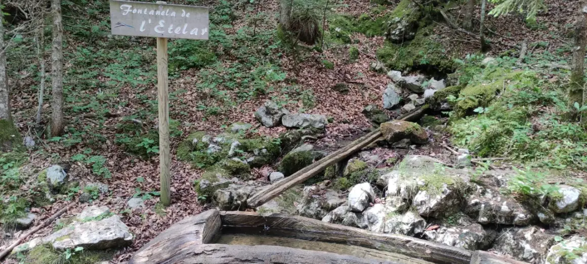 Segnale del sentiero delle sorgenti con una fontana in legno in un bosco muschioso.