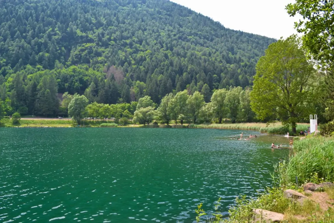 Persone nuotano nel **lago di Lases**, circondato da una rigogliosa foresta e montagne verdi.