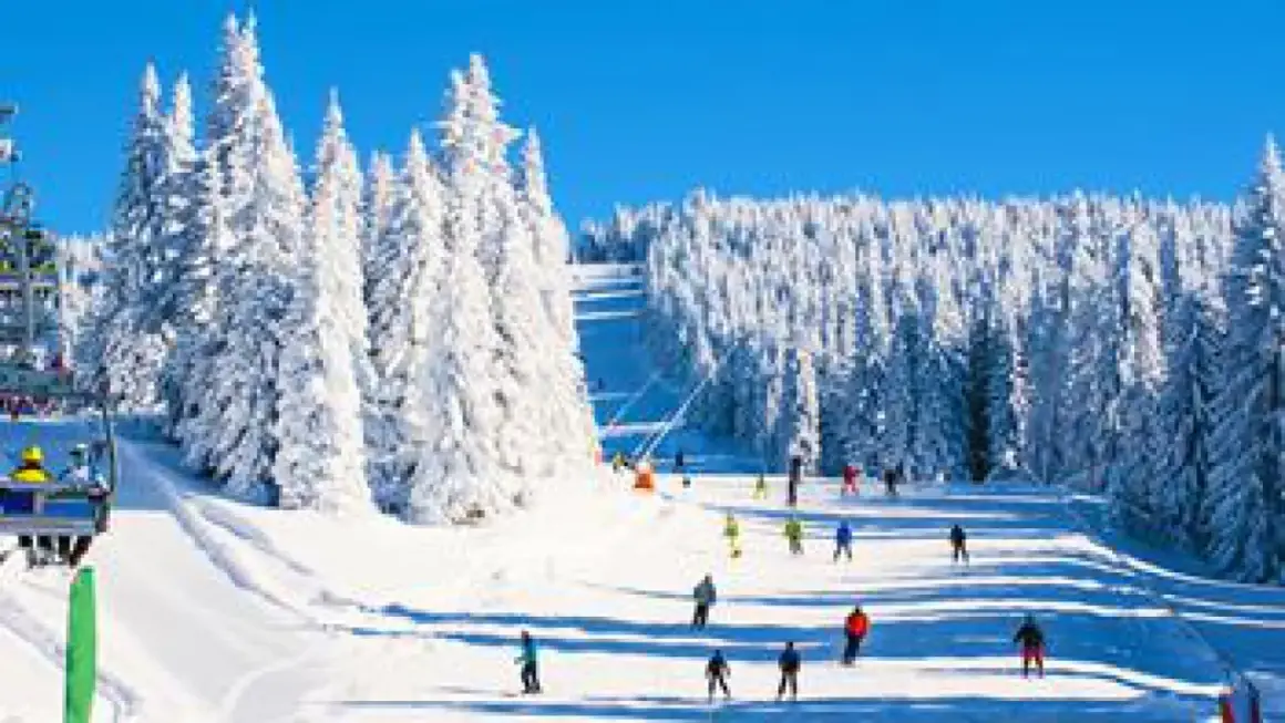 Pista innevata in una delle località sciistiche famose, con sciatori che scendono tra alberi coperti di neve e un cielo azzurro brillante.