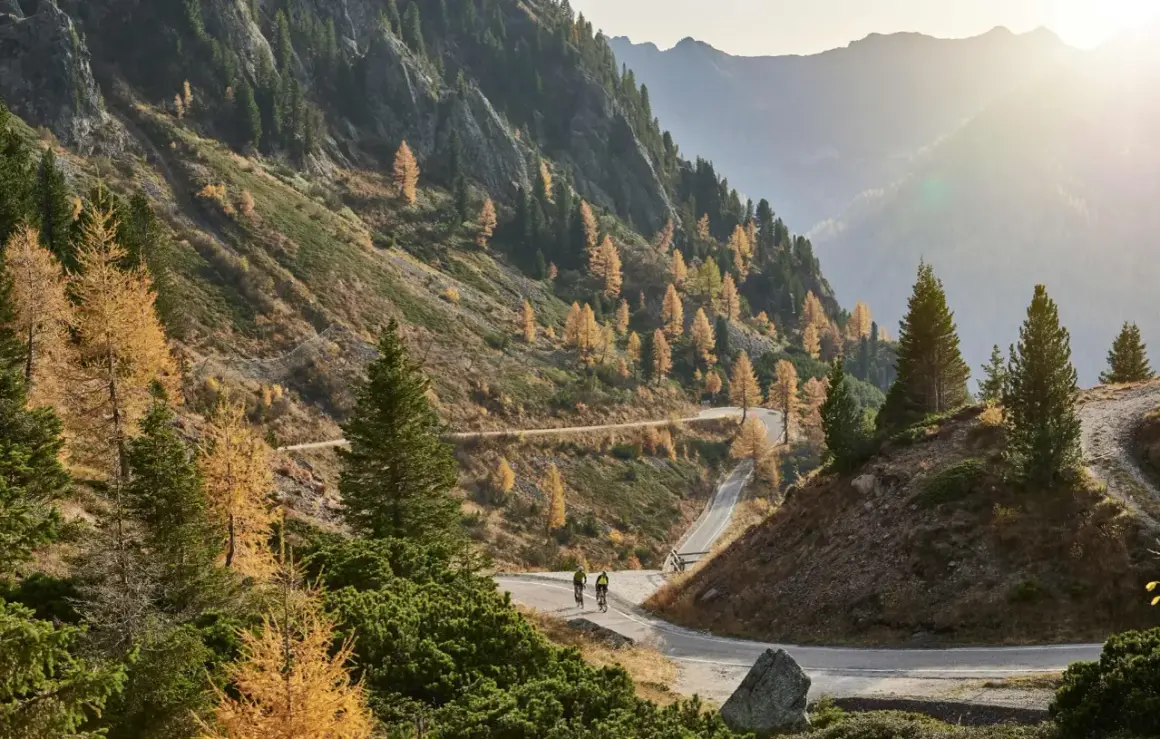 Ciclisti affrontano tornanti su strada panoramica al Passo Manghen, circondati da larici dorati e montagne nebbiose.
